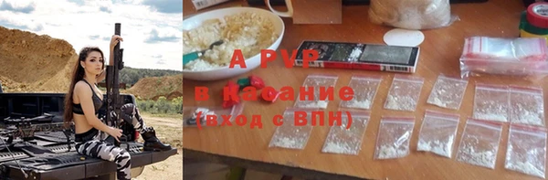 амф Верхний Тагил