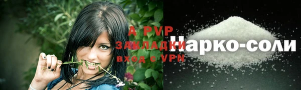 мдпв Верея